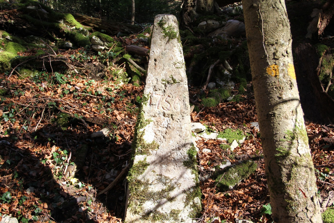 borne