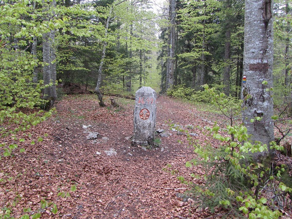 borne-frontière forêt du Risous frontière Vaud VD France