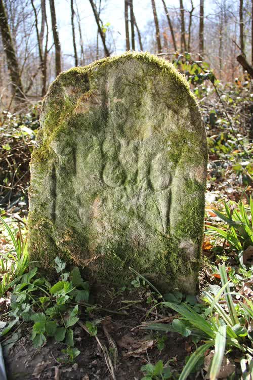 Grzst. 117