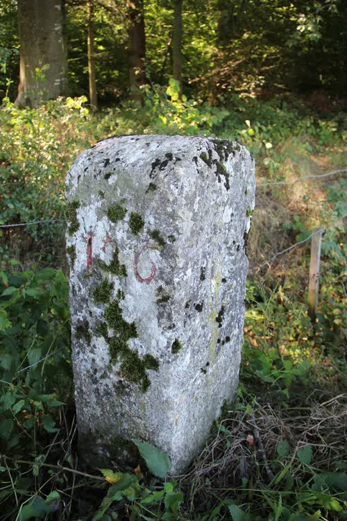Grzst. 126