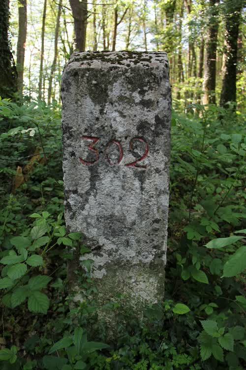 Grzst. 302
