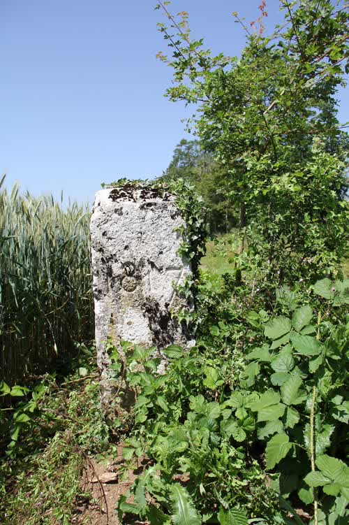 Marker 344