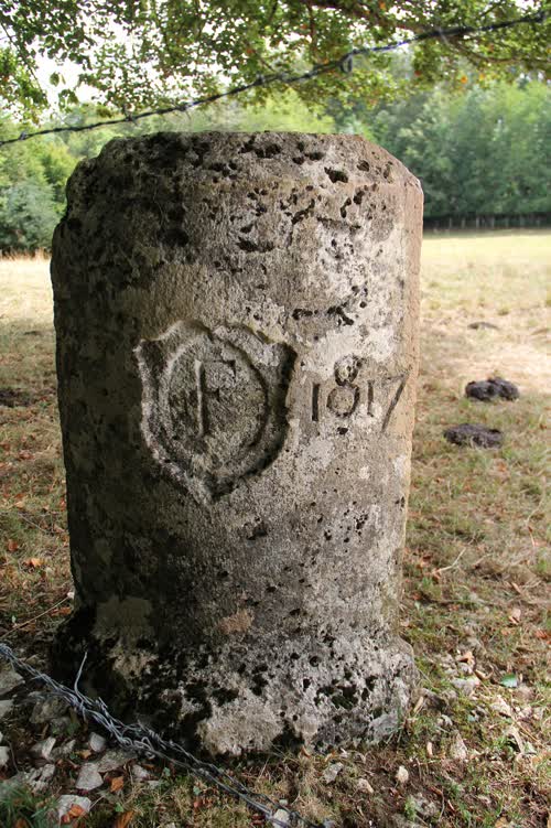 Marker 419