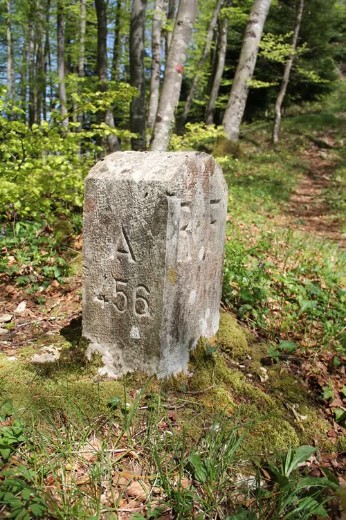 Grzst. 456.A
