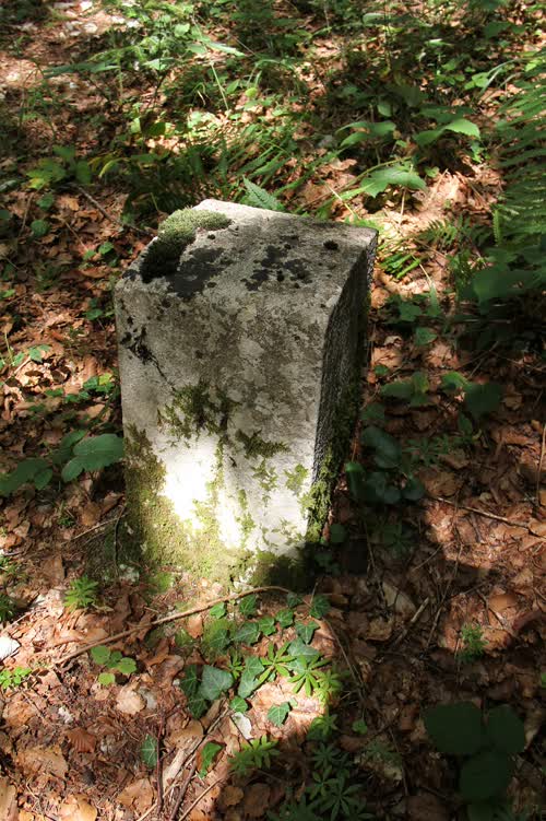 Marker 493.C