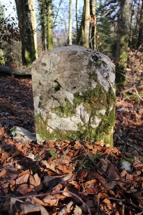 Marker 54