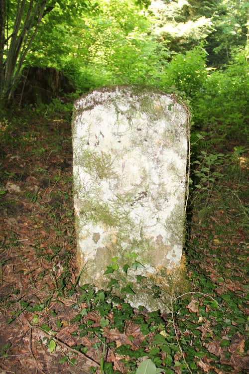 Marker 65
