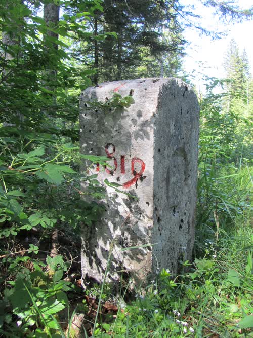 Marker 118