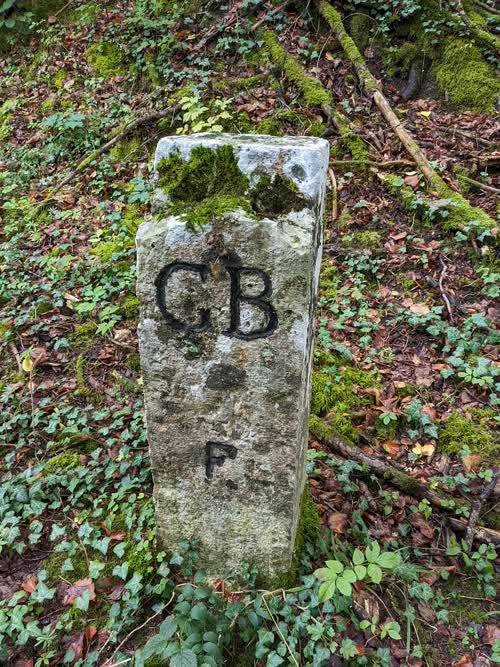 Borne 513
