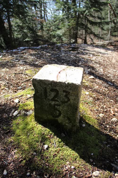 Grzst. 123.5