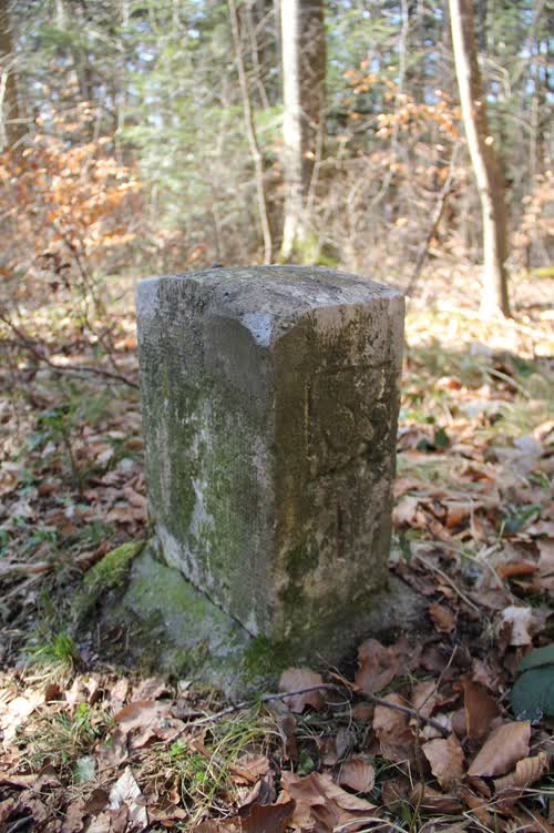 Grzst. 133.1