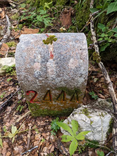 Grzst. 244A