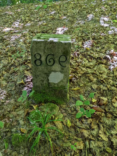 Cippo 86e
