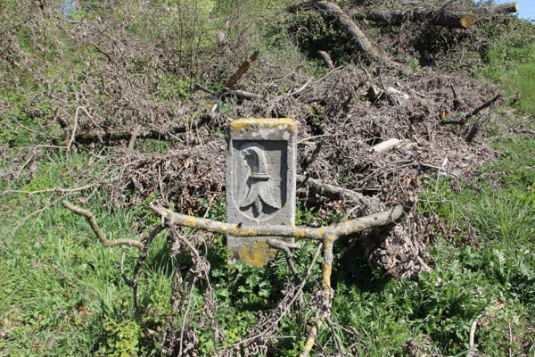 Borne-frontière Allschwil Baselland BL Numéro 40