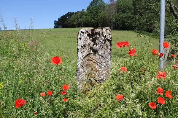 Borne-frontière Bure Jura JU Numéro 303