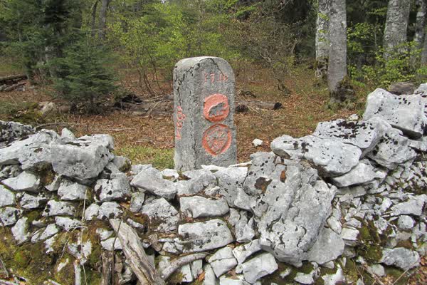 Borne-frontière Forêt du Risoux Vaud VD Numéro 163