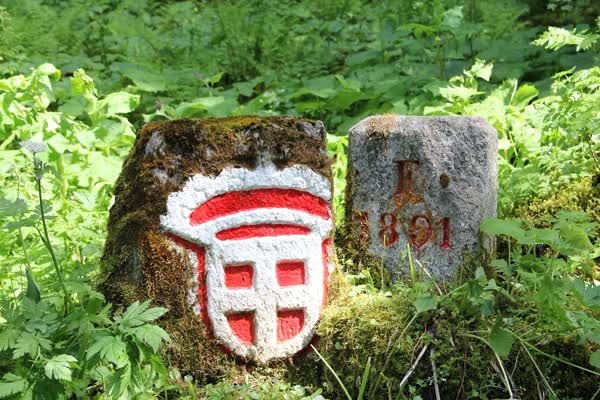Borne-frontière Pas de Morgin Valais VS Numéro 38